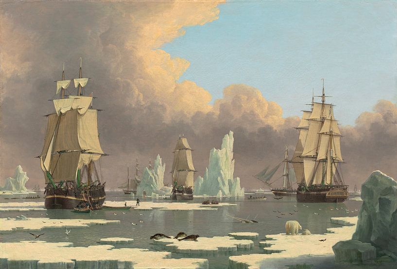 The Northern Whale Fishery: The "Swan" and "Isabella"  van Rebel Ontwerp