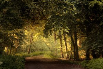 Jeder liebt den Sonnenschein