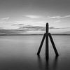 Der Dukdalf bei Oostmahorn am Lauwersmeer in Schwarz-Weiß von Marga Vroom