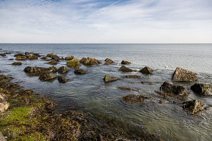 Keien voor de kust Hoek van Holland van Carin IJpelaar