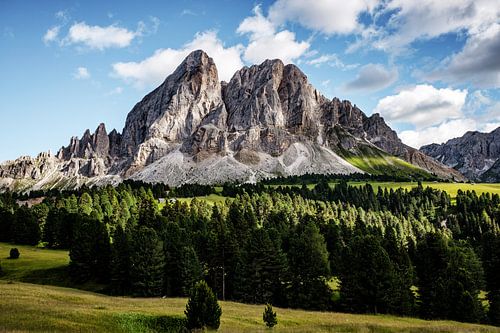 San Martino Forest Italy