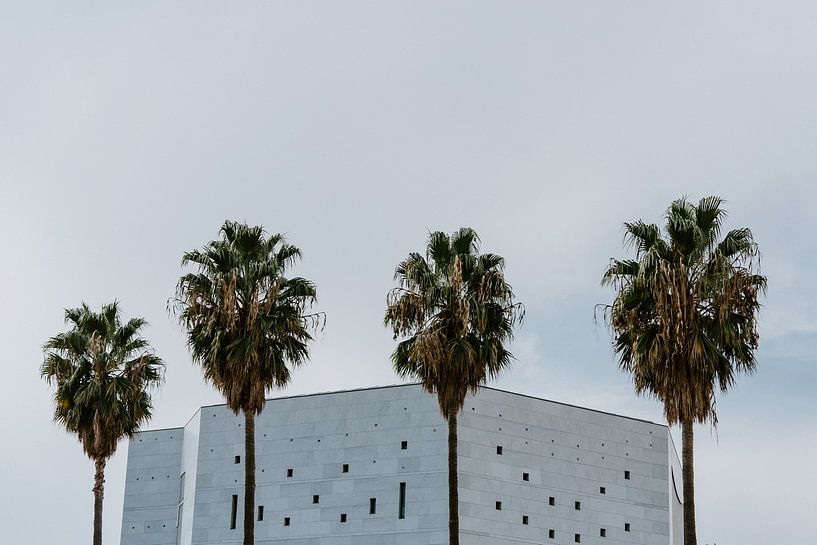 Palmen von Huib Vintges