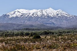 Mount Ruapehu, Neuseeland von Beat Hühnli