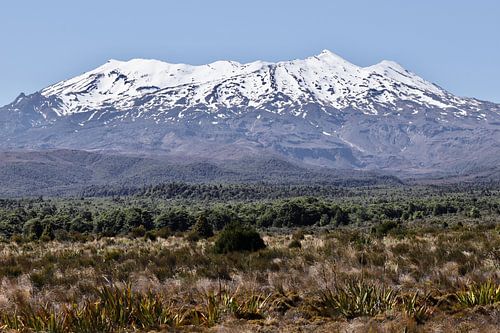 Mount Ruapehu, Nieuw-Zeeland