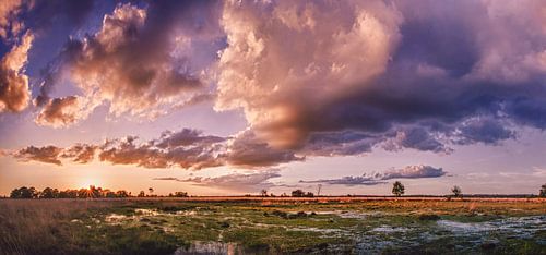 Sonnenuntergangs-Panorama Kampina