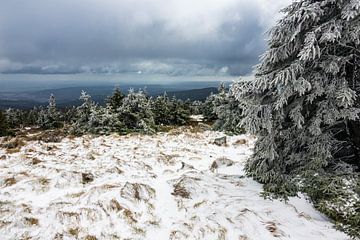 Landschaft mit Schnee auf dem Brocken im Harz von Rico Ködder