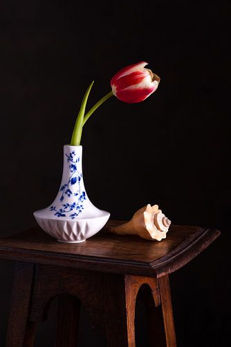 Beautiful simplicity