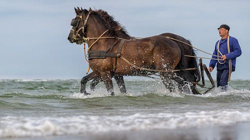 Canot de sauvetage à rames Terschelling