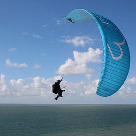 Free as a bird by Patrick Riemens