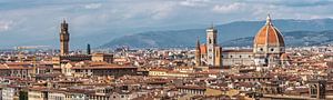 Stadtpanorama Florenz