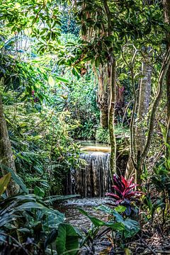 Bali; Schoonheid van de wildernis van Dirk Lahuis