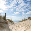 Beachbreak à travers les dunes - Mer du Nord près de Zandvoort sur KB Design & Photography (Karen Brouwer)