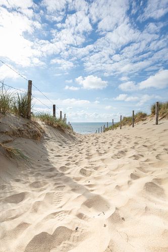 Strandspaziergang durch die Dünen - Nordsee bei Zandvoort