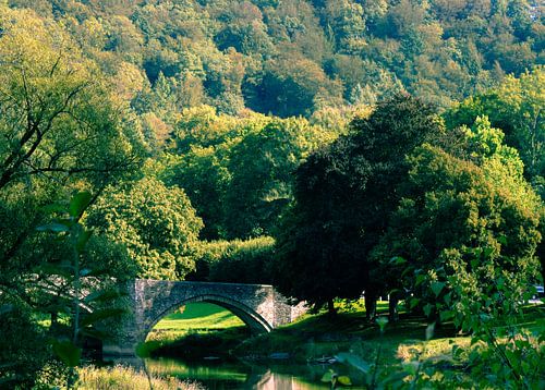 Brug van bouillon / bridge / pont
