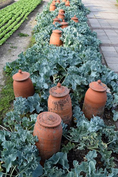 Töpfertöpfe im Gemüsegarten der Villa Augustus von Nicolette Vermeulen