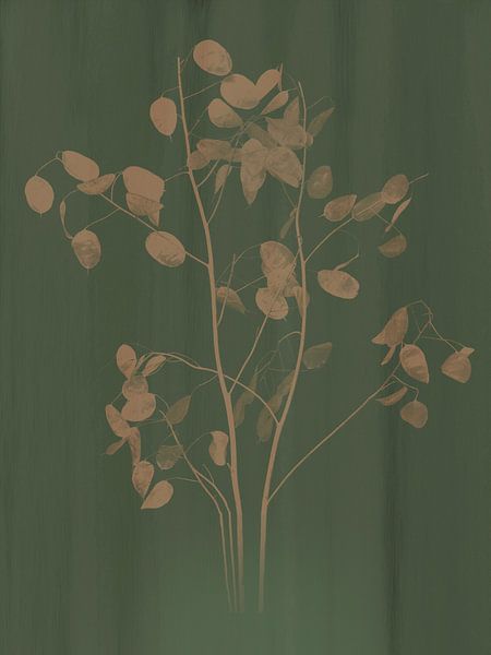 Botanische print judaspenning, groen (gezien bij vtwonen) van Joske Kempink