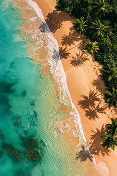 Le paradis tropical vu du ciel