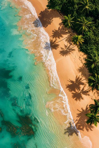 Le paradis tropical vu du ciel par Poster Art Shop