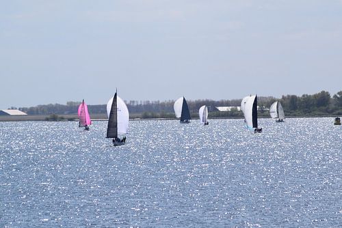 Zeilen op het Quackjes water 