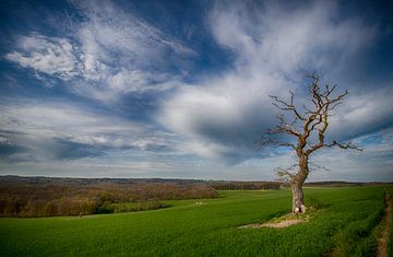 The Lonely Tree van Charelle Roeda