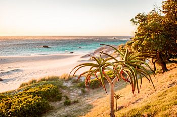 Kapstadt sonniger Strand - Südafrika bunter Sonnenuntergang Fotodruck - Reisefotografie