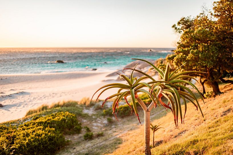 Kapstadt sonniger Strand - Südafrika bunter Sonnenuntergang Fotodruck - Reisefotografie von LotsofLiekePrints