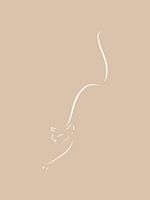 Cat, beige white