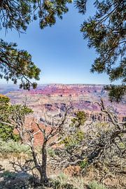 GRAND CANYON Impression from Navajo Point by Melanie Viola