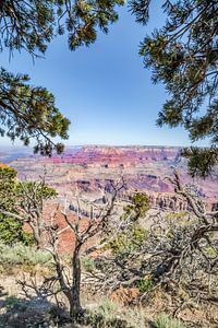 GRAND CANYON Impression vom Navajo Point