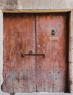 oude deur 1771 van Sandra Hogenes