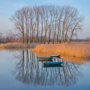 Boote auf der Oude Waal im Ooijpolder
