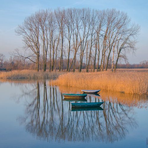 Boats on the Oude Waal in the Ooijpolder