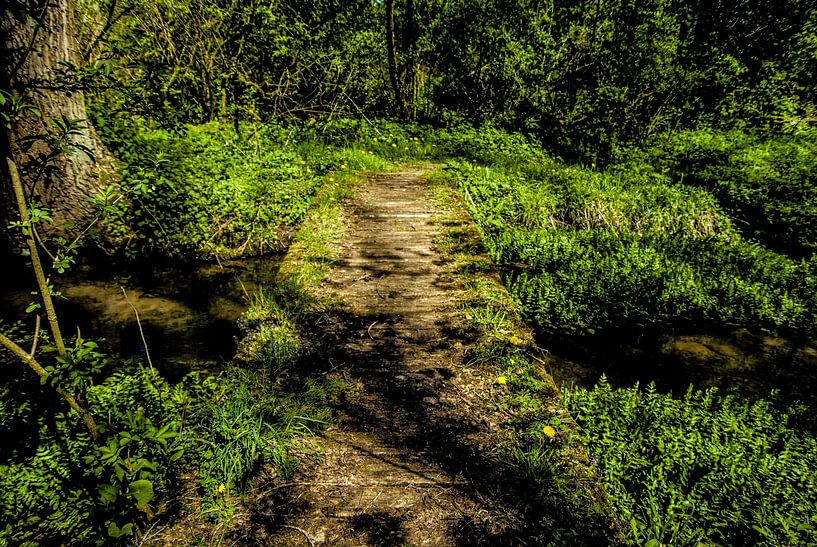 The small wooden bridge by Norbert Sülzner