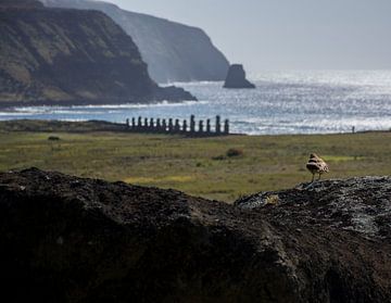 Bird watching on Ahu Tongariki, Easter Island by Bianca Fortuin