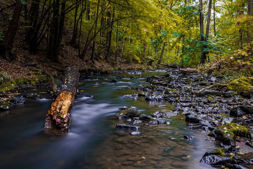 Rivierlandschap in Duitsland - het Löbauer water 2 van Holger Spieker