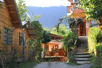 Zomaar een straat in Mindo, Ecuador