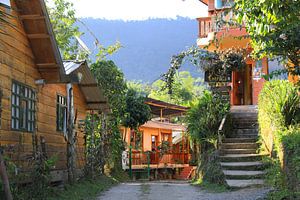 Zomaar een straat in Mindo, Ecuador