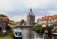Dromedar in Enkhuizen