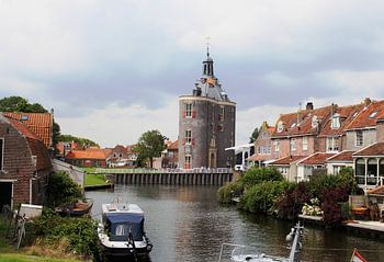 Dromedaris in Enkhuizen