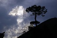 Ama Dablam van Gerhard Albicker thumbnail