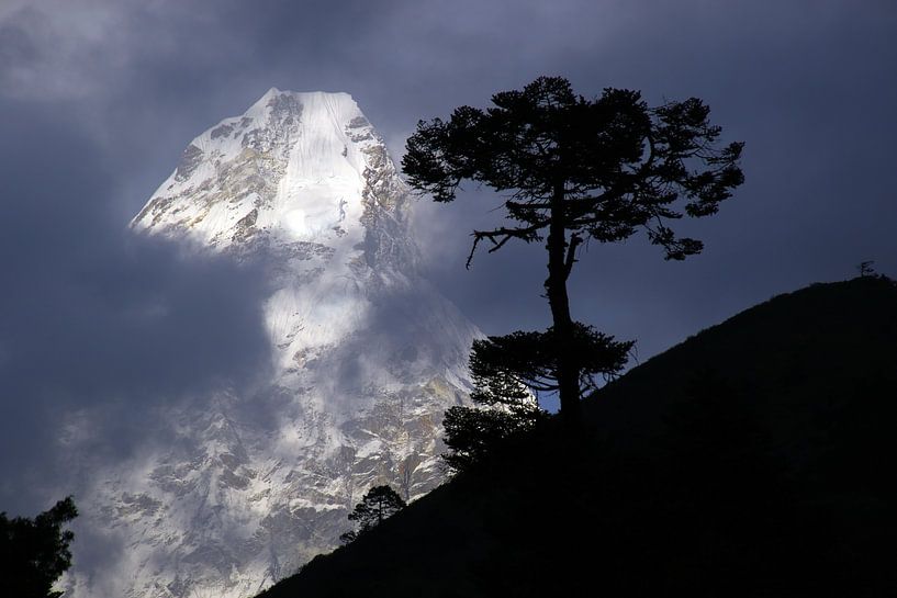 Ama Dablam van Gerhard Albicker