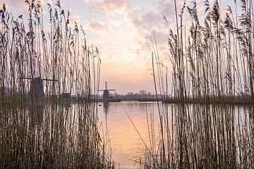 zonsopkomst in de polder van Dana Oei fotografie