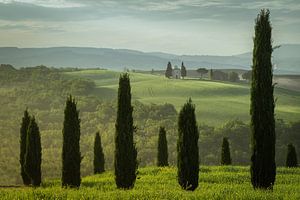 The Tuscan landscape sur Edwin Mooijaart