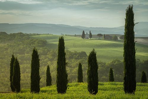 Het Toscaanse Landschap