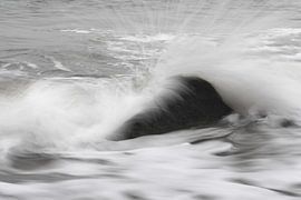 Platsch! von Jörg Hausmann