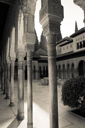 Het Alhambra in Granada
