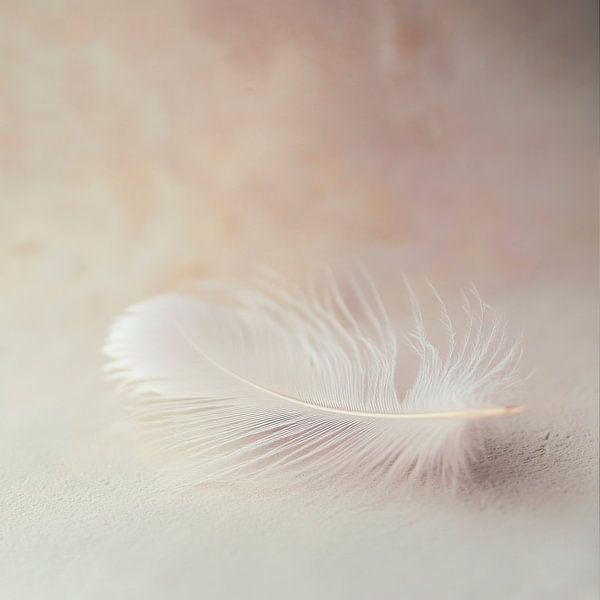 Zarte Eleganz einer Feder von Poster Art Shop