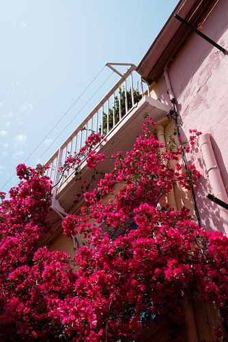 Bouganville met frans balkon in Collioure