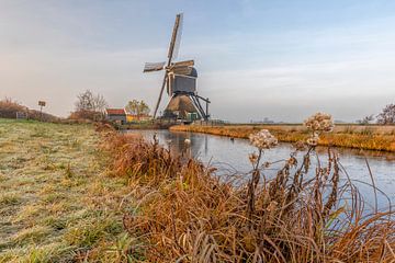 Wipmolen in de Alblasserwaard van Cor de Bruijn