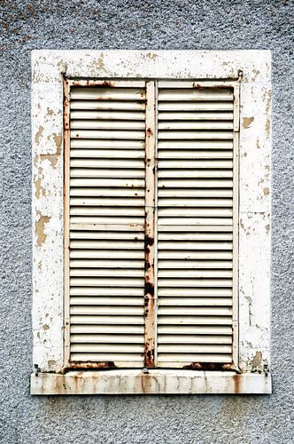 la beauté de la pourriture 1
